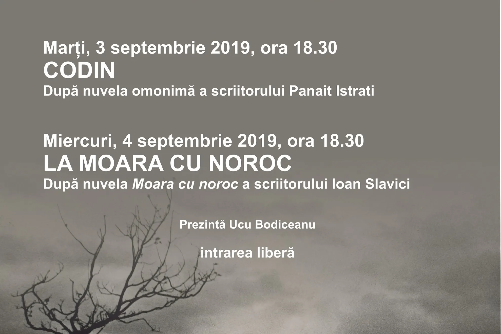 Filme de colectie_Ecranizari celebre