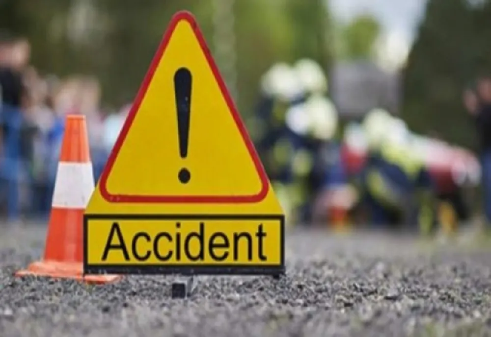 Accident grav pe Autostrada A3! Un urs a murit după ce a fost lovit de o maşină