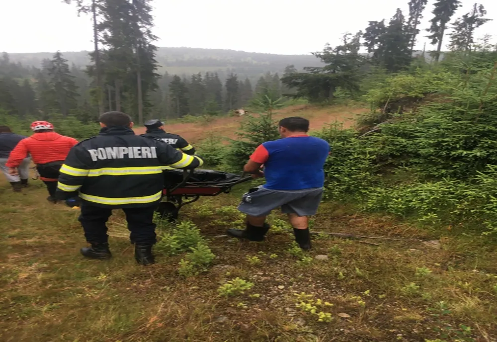 Clujean mort la munte în timp ce culegea fructe de pădure