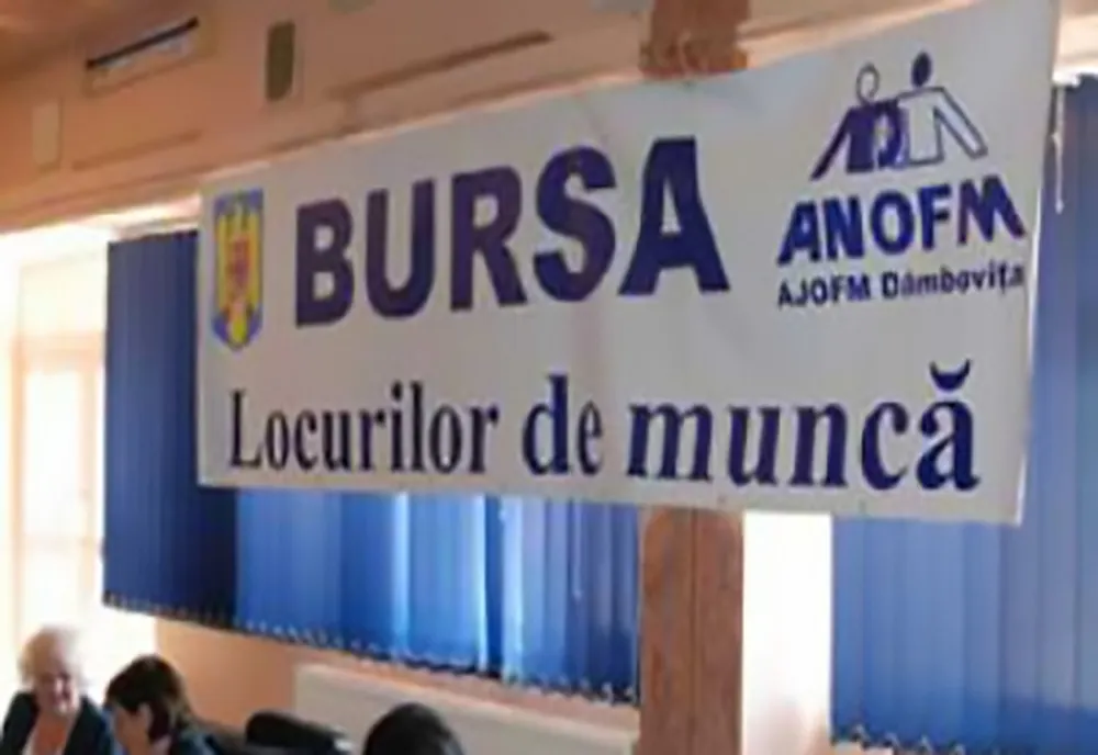 Bursa locurilor de muncă pentru absolvenți