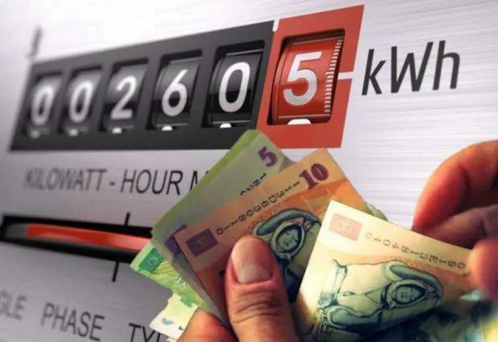 CONSUMATORII VULNERABILI POT CERE TICHETUL ELECTRONIC DE ENERGIE PRIN PLATFORMA EIDS