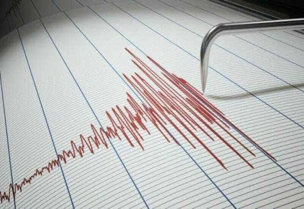Cutremur în România, vineri dimineață. Ce magnitudine a avut și unde s-a resimțit cel mai mult
