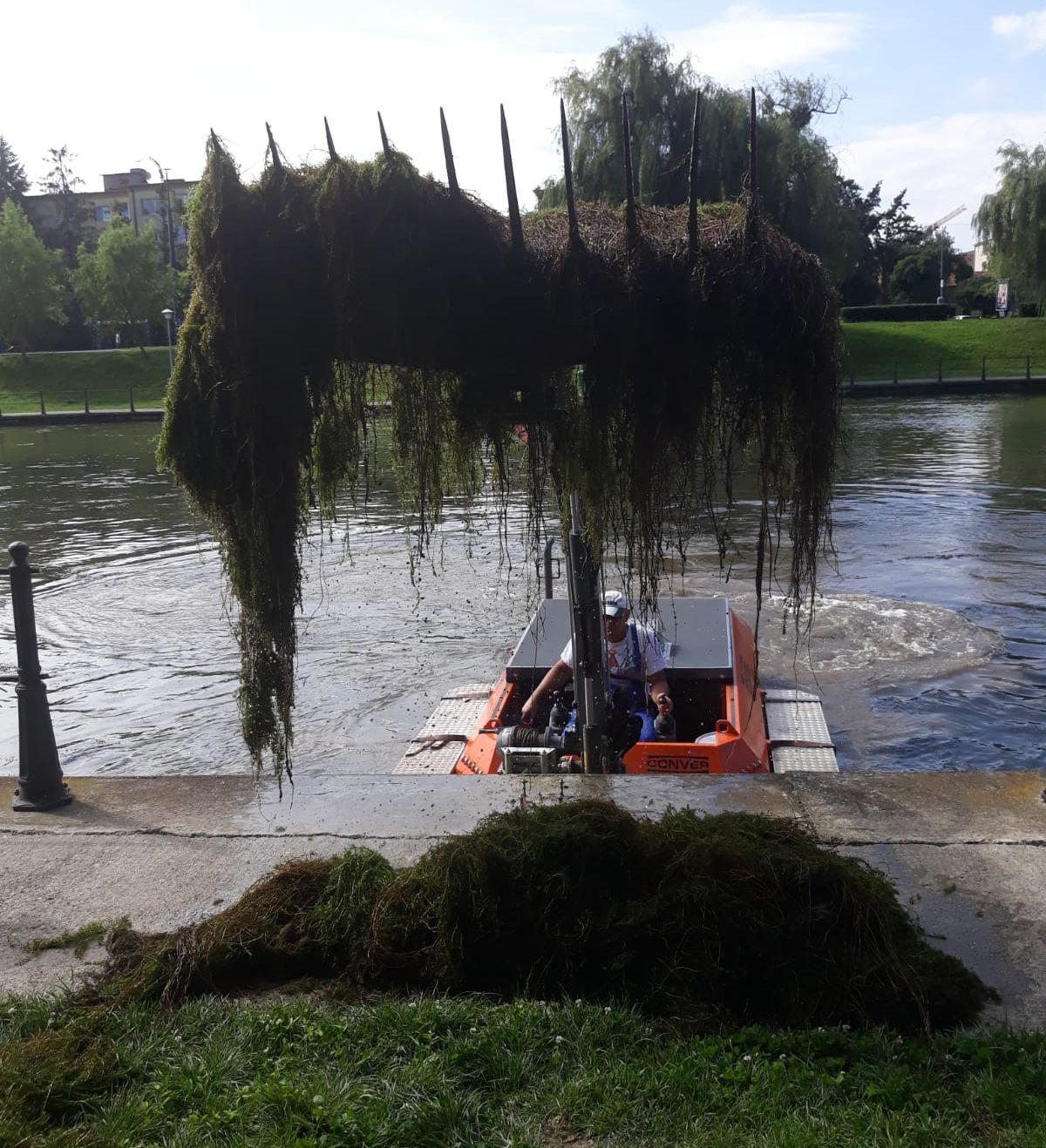 igienizare_amfibiu_Somes_Mic (1)