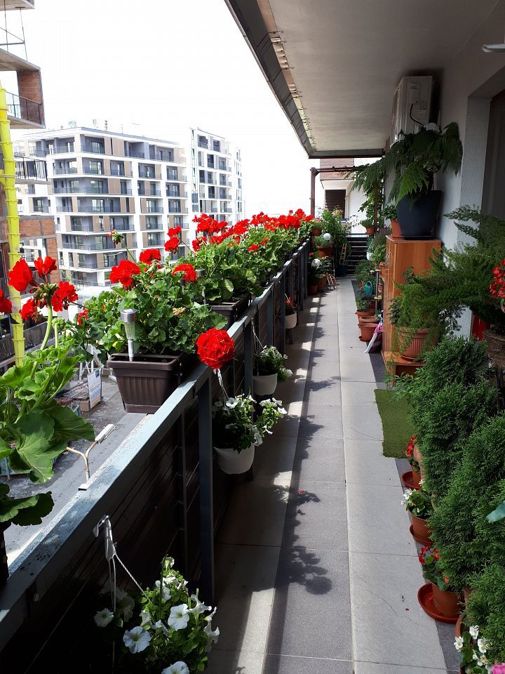 cea mai frumoasa fatada