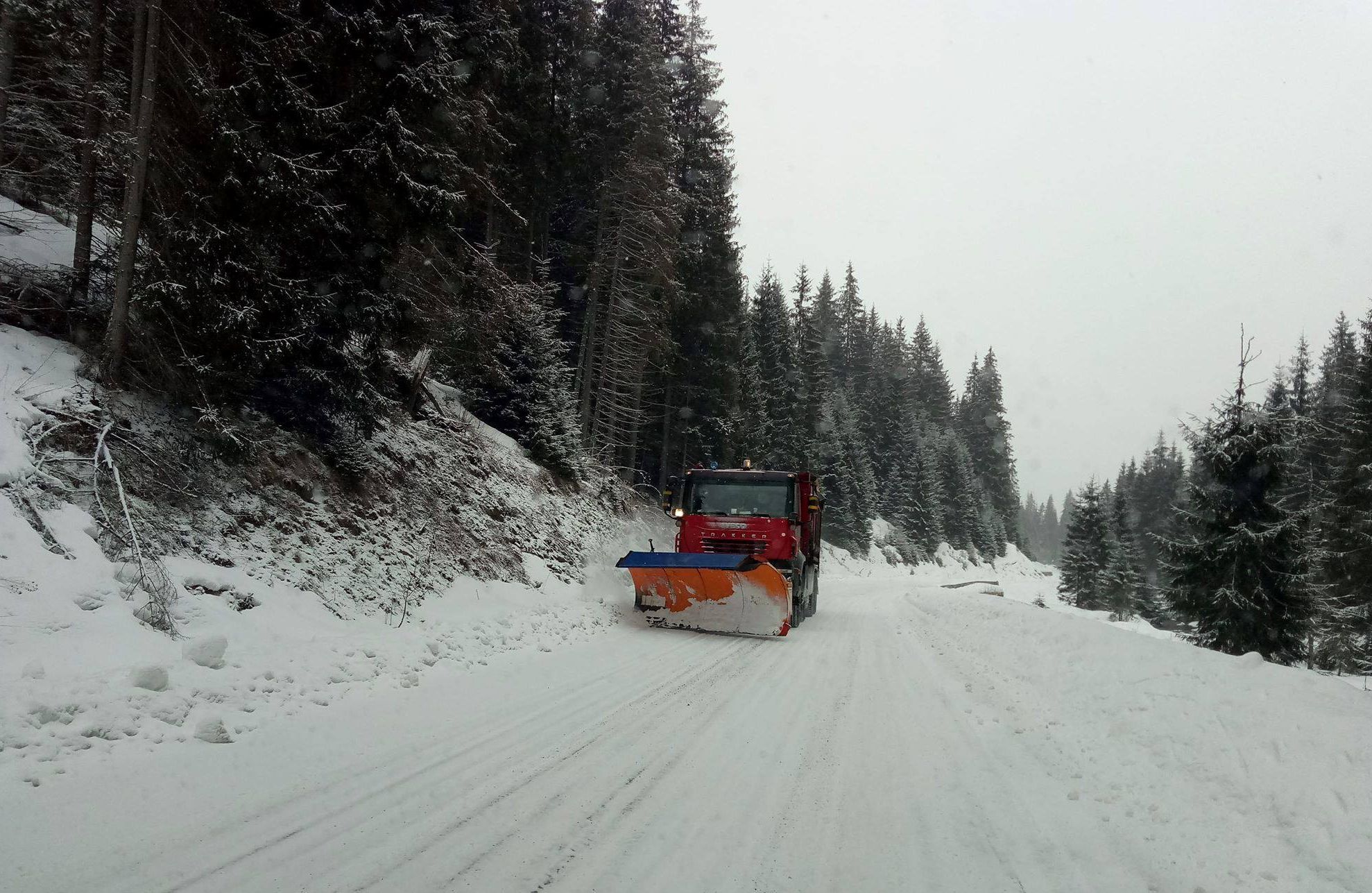 49793838_2027399900706948_2511604365400211456_o