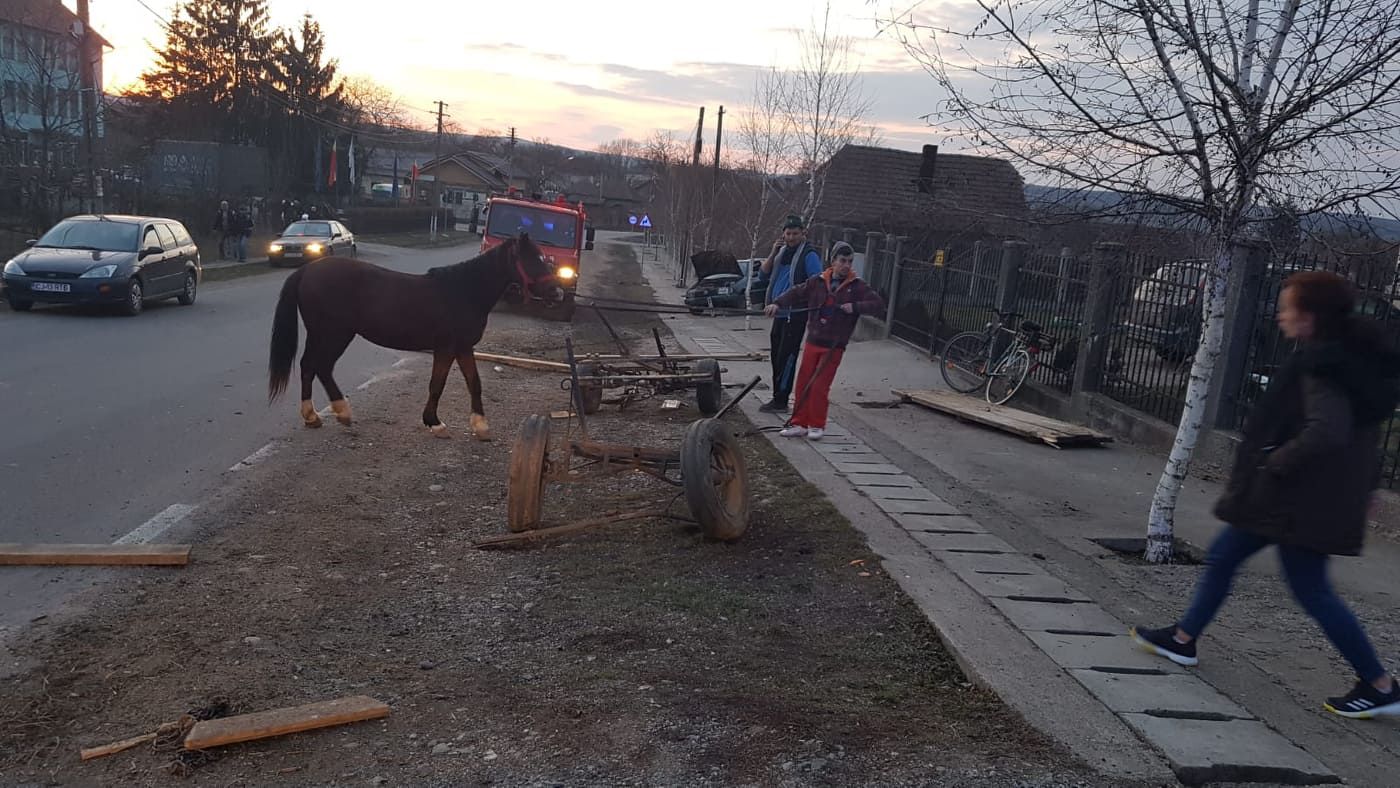 51198111_1999585616821278_8482695340292571136_n