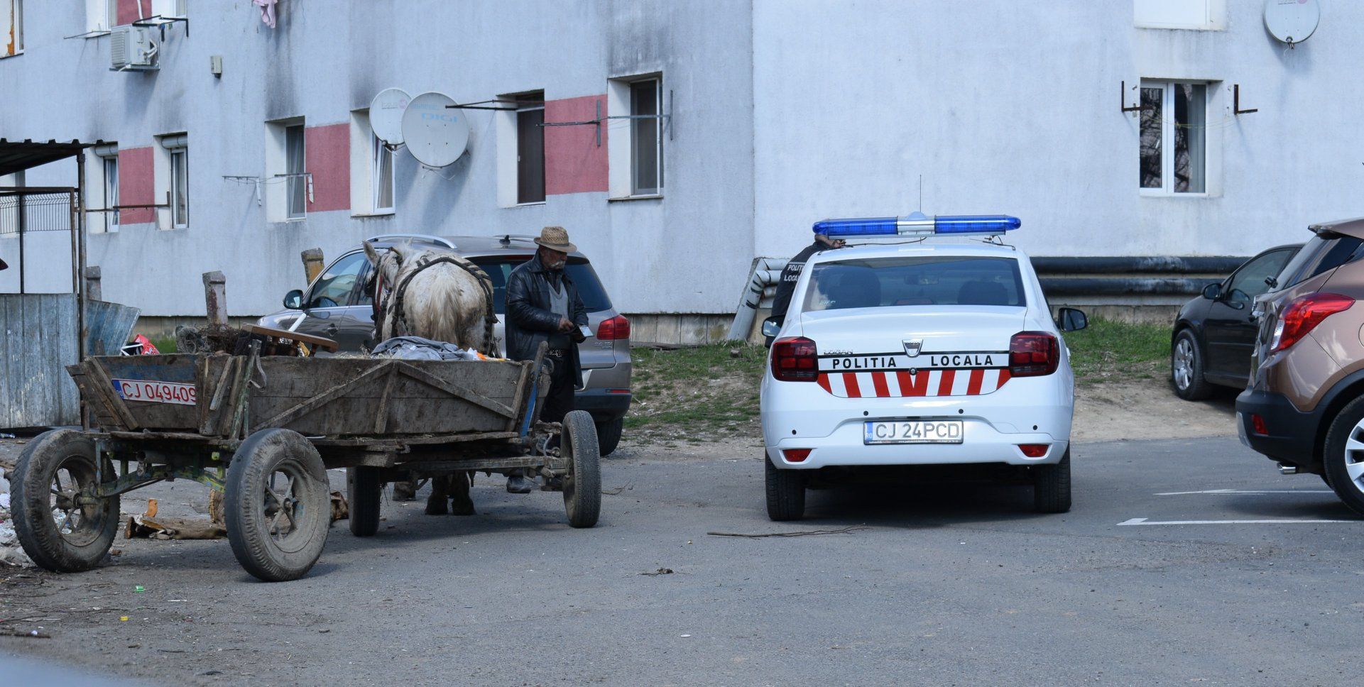 55752373_501760567025225_244384154538475520_o