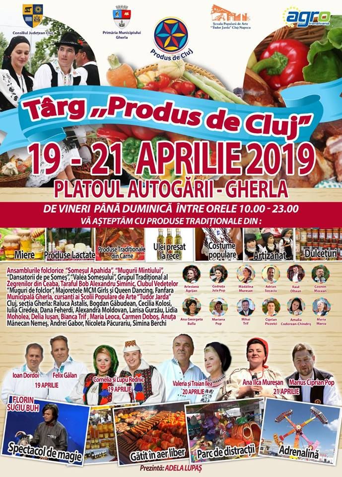 57503195_2117246721685604_6953672684970442752_n