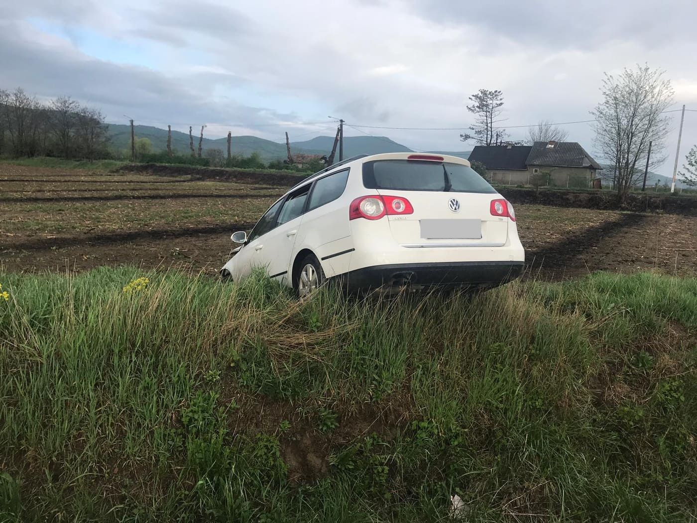 58669680_2004613406512434_3005267163373109248_n