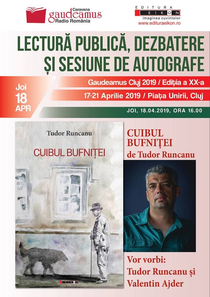 cuibul bufnitei de tudor runcanu