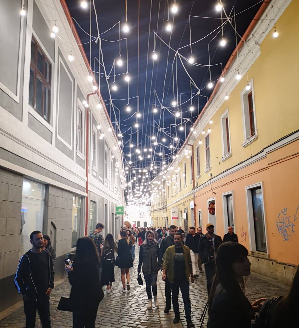 60352582_2281802845241861_4248011299021127680_o