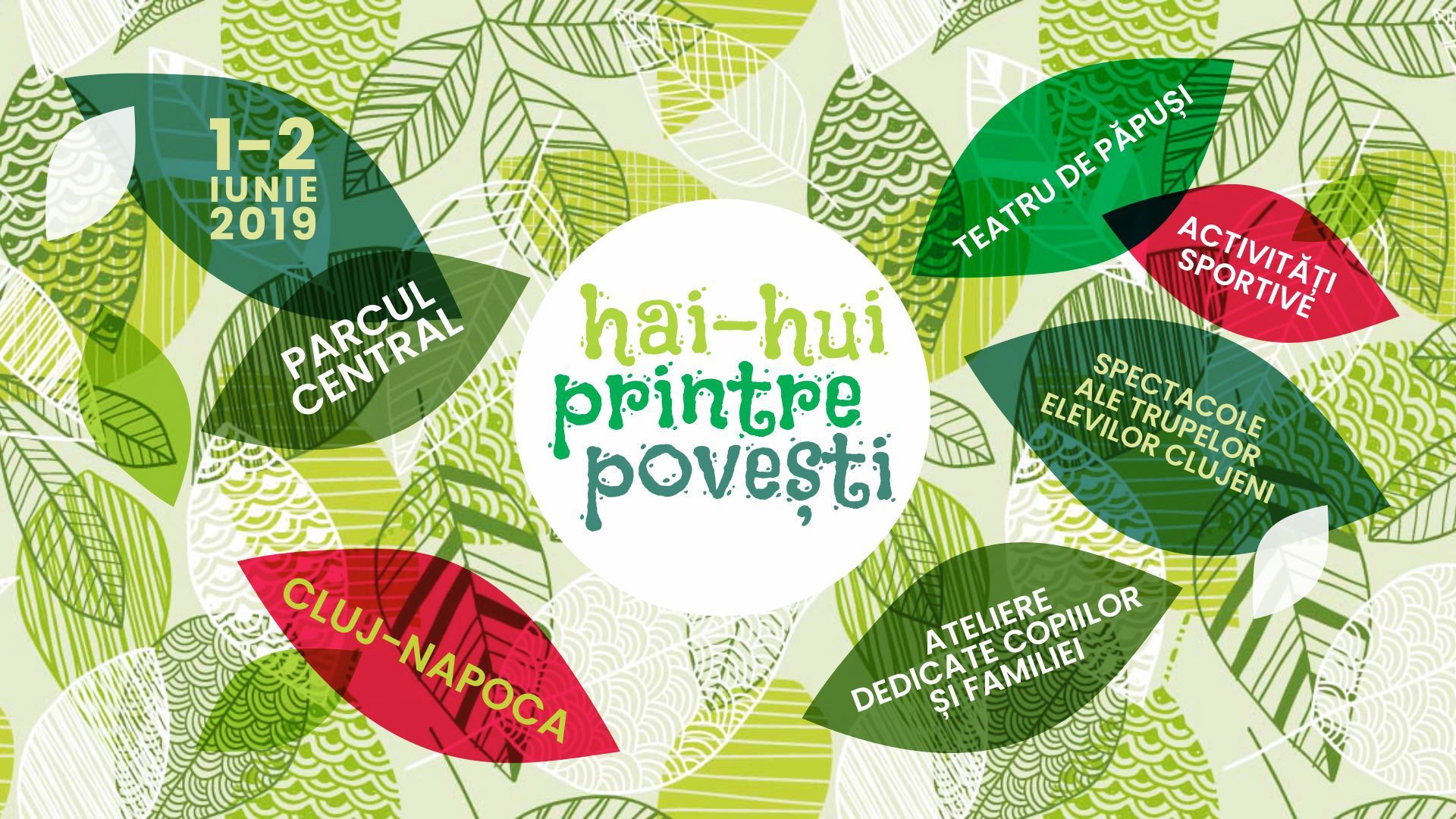 60359020_2408057212783937_7264651544383979520_o