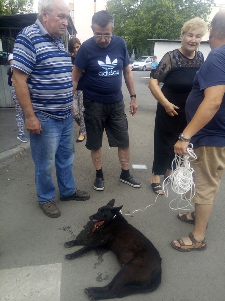 186446f319e6dde30828c09098bf842c