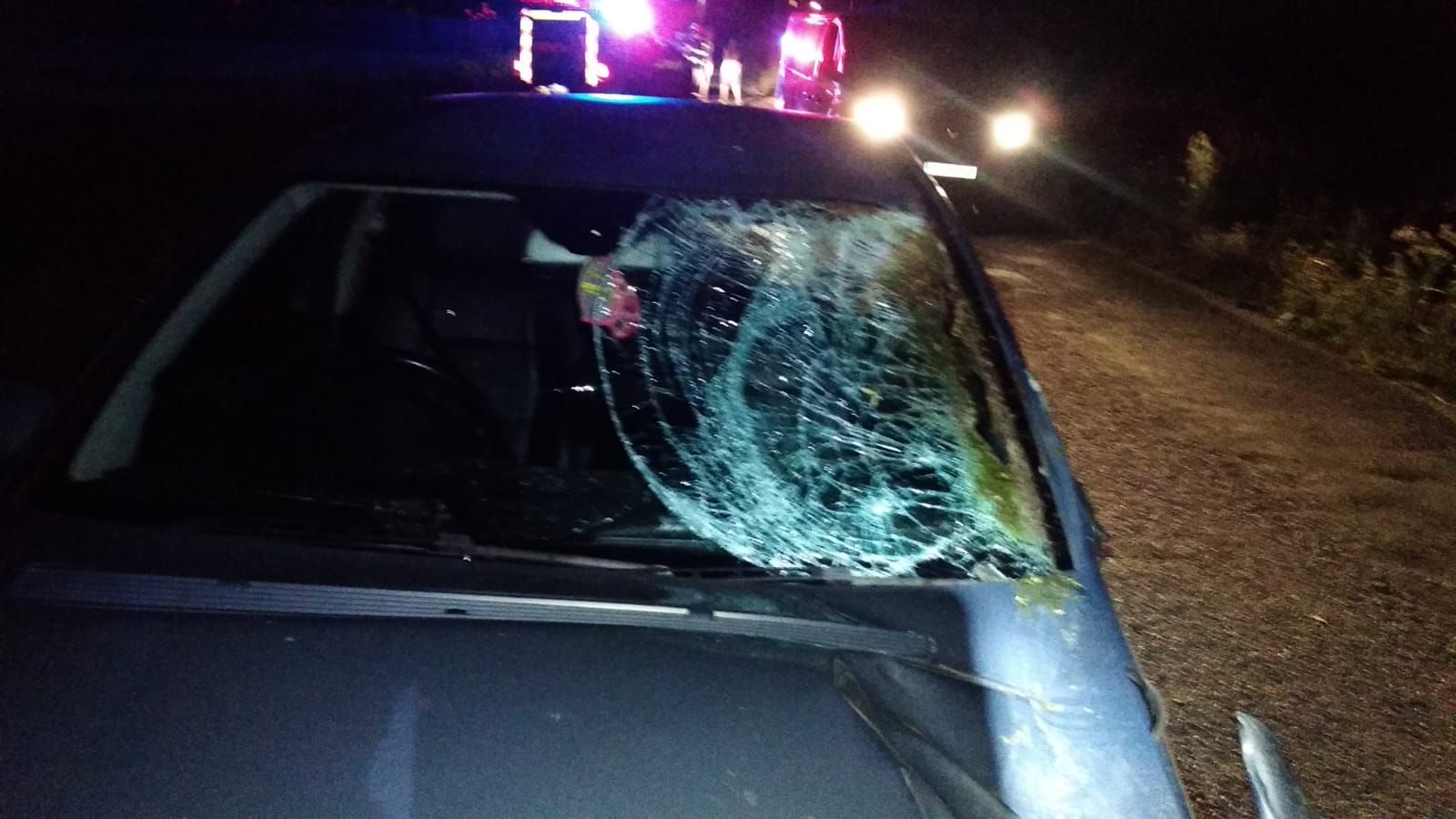 f0b5599b21b65c4c81c6a4669ef397f3