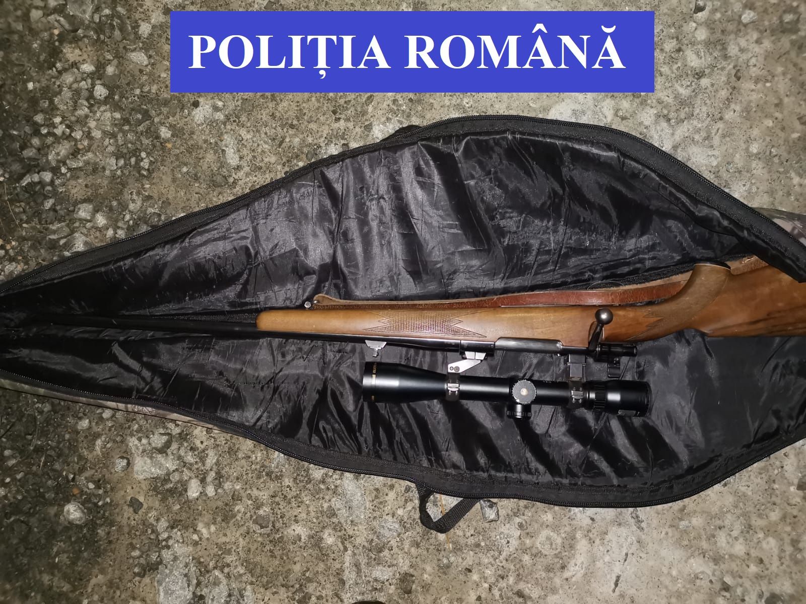 ff0a56a3-1c9a-4d48-91a9-38603512d886