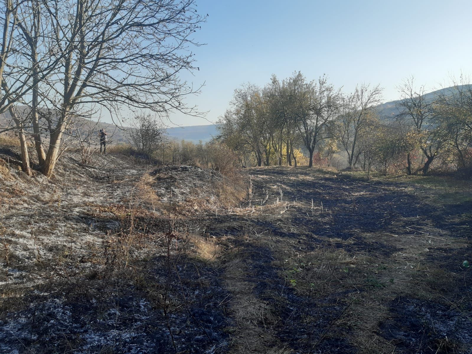 WhatsApp Image 2019-10-22 at 16.53.34