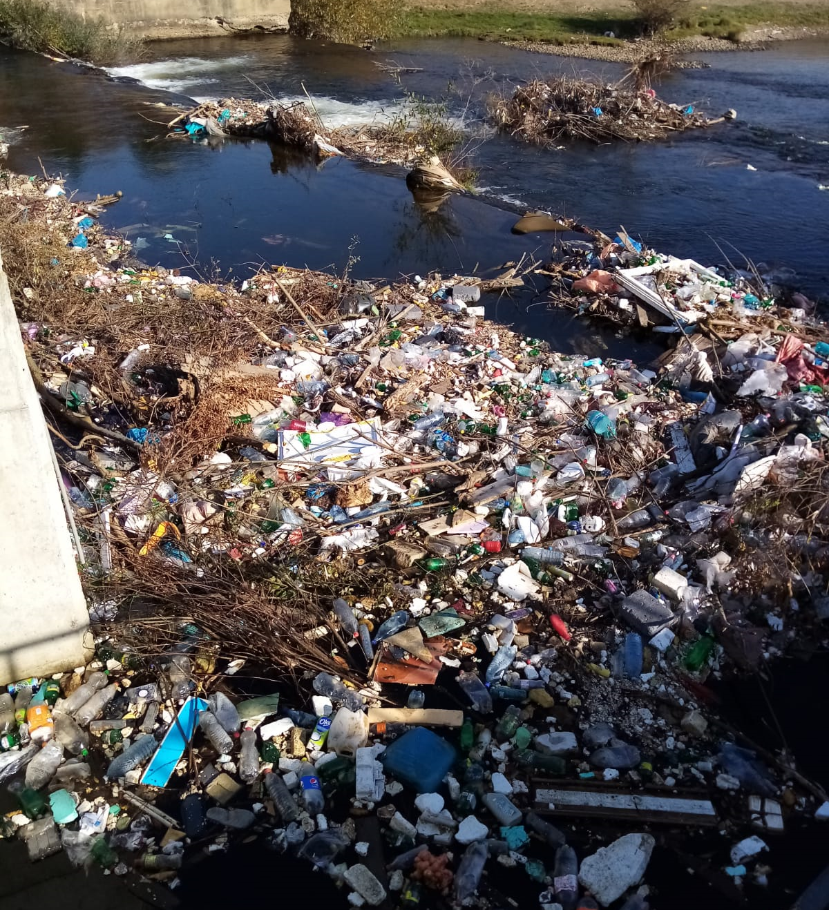 inainte de igienizare (1)