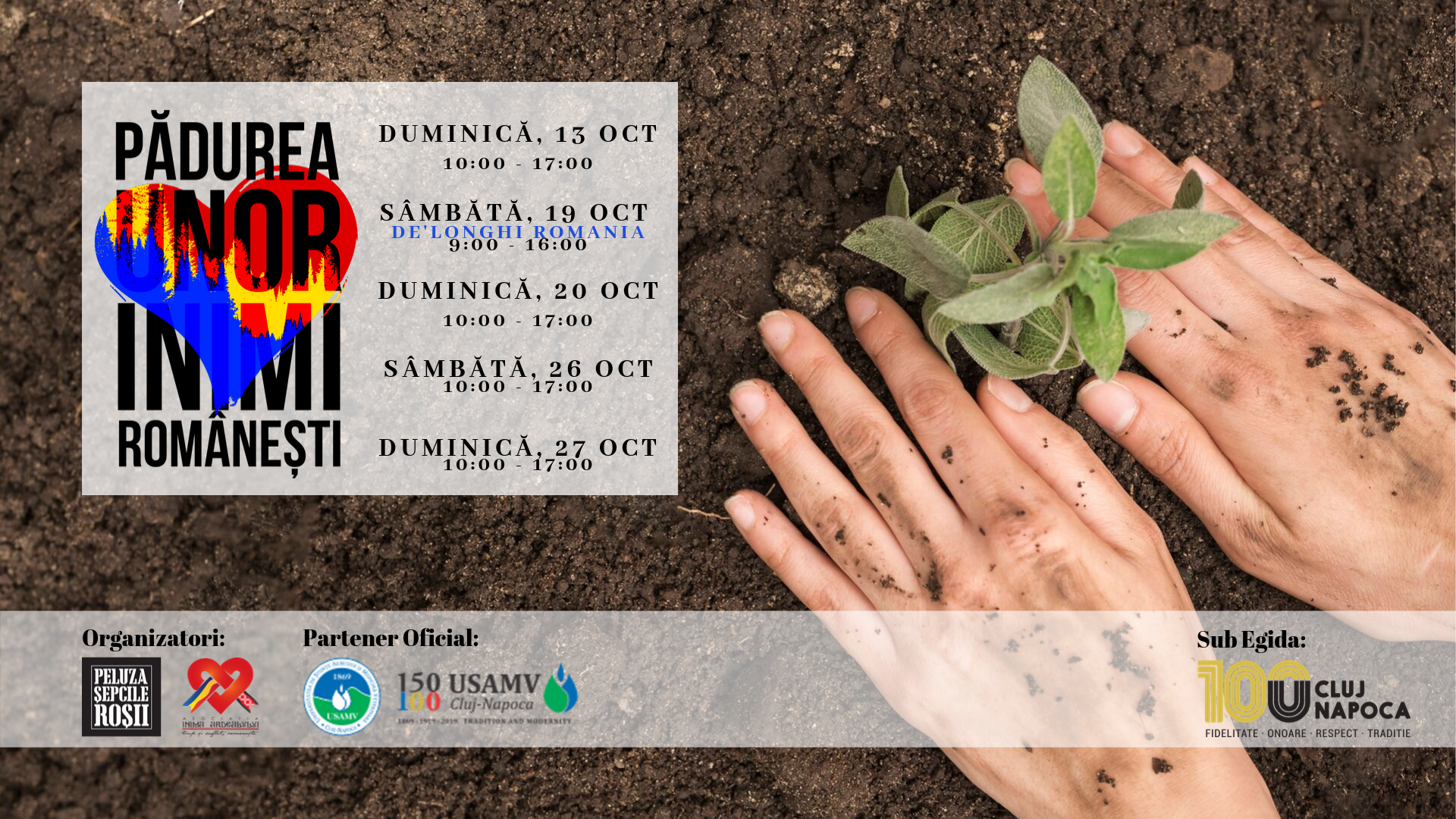 sâmbătă, 13 Oct 2019