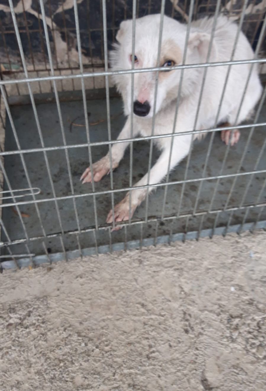 WhatsApp Image 2020-02-05 at 10.54.12