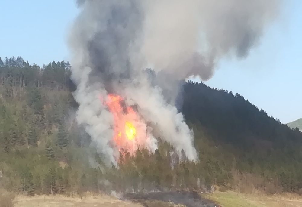 FOTO | 3 hectare de pădure din judeţul Cluj cuprinse de flăcări 