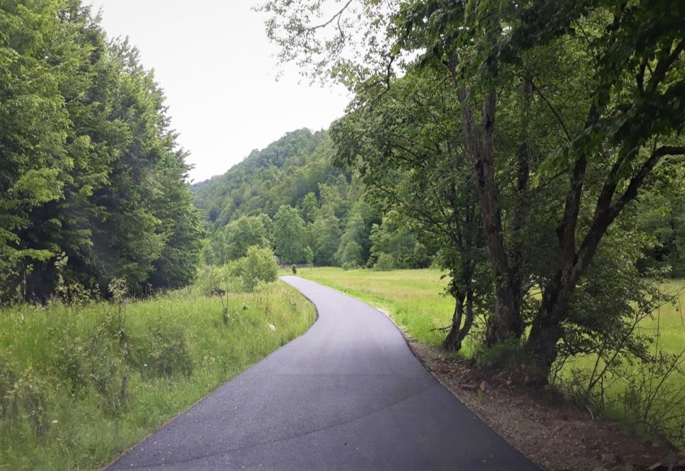 FOTO |  Au fost finalizate lucrările de asfaltare pe drumul județean 103J Alunișu – Săcuieu – Vișagu