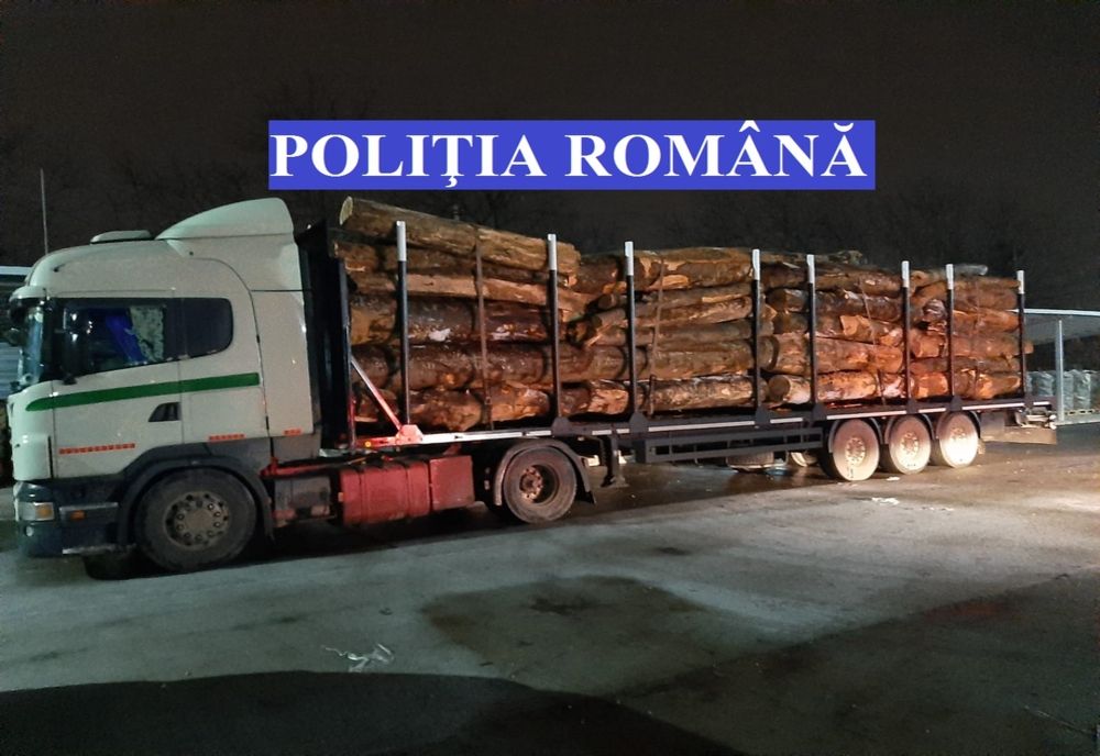 FOTO | Camion cu lemne oprit de poliţişti! Oamenii legii au confiscat lemnele şi autovehiculul