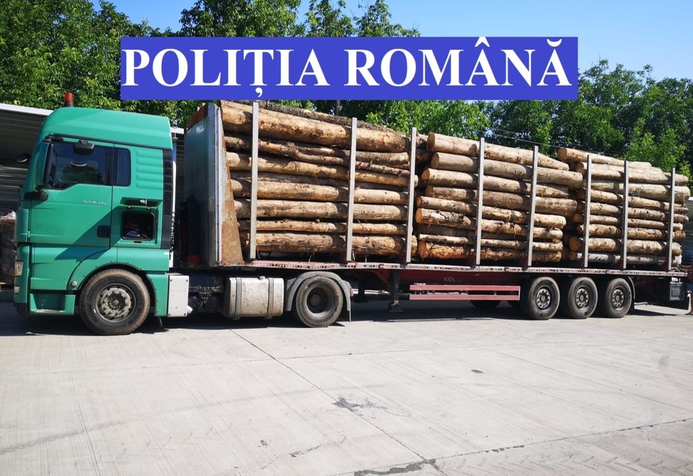 Camion cu lemne, condus de un bărbat din Bistriţa-Năsăud, confiscat de poliţiştii clujeni
