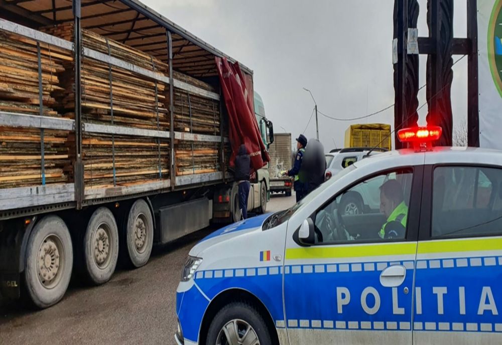 Material lemnos confiscat de poliţiştii sălăjeni de la doi şoferi din judeţul Cluj