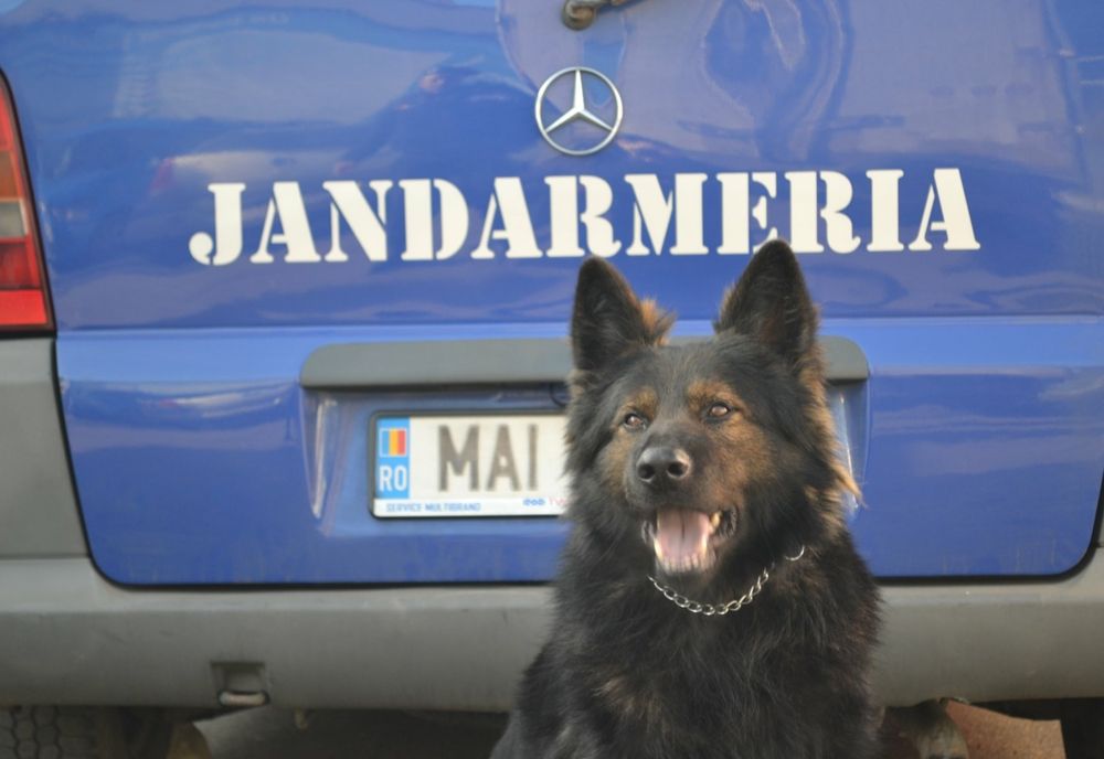 „Ziua Porţilor Deschise pentru Copii” la Inspectoratul de Jandarmi Județean Cluj