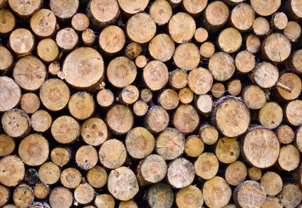 Clujean prins de polițiștii sălăjeni cu un transport de material lemnos fără documente legale