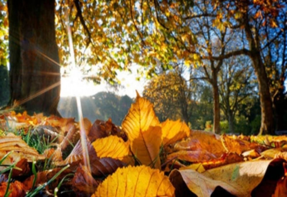 Vremea 14 septembrie - Încălzirea temperaturilor în majoritatea regiunilor din țară