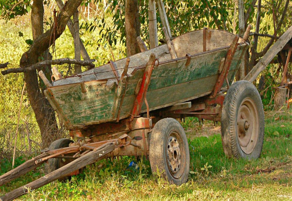 Tragedie în Florești! Un tânăr de 23 de ani a murit după ce a căzut din căruță