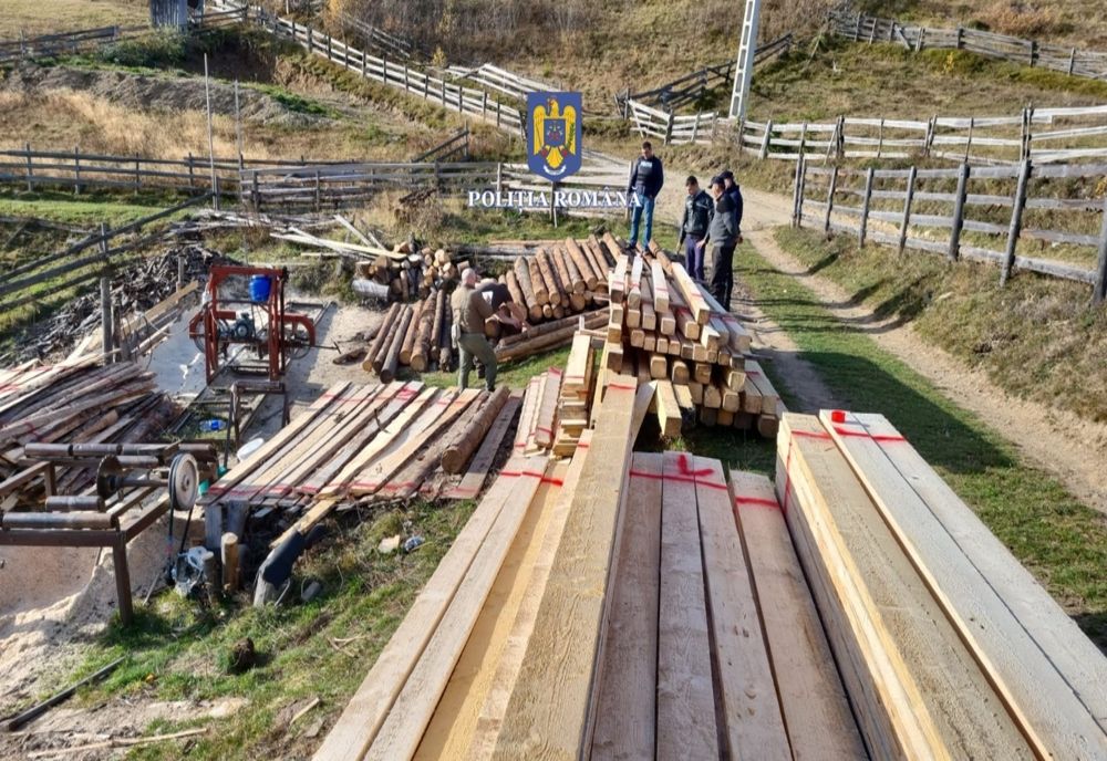 Pădurar din judeţul Cluj reţinut! A furat lemne din pădurea de care trebuia să aibă grijă (FOTO)