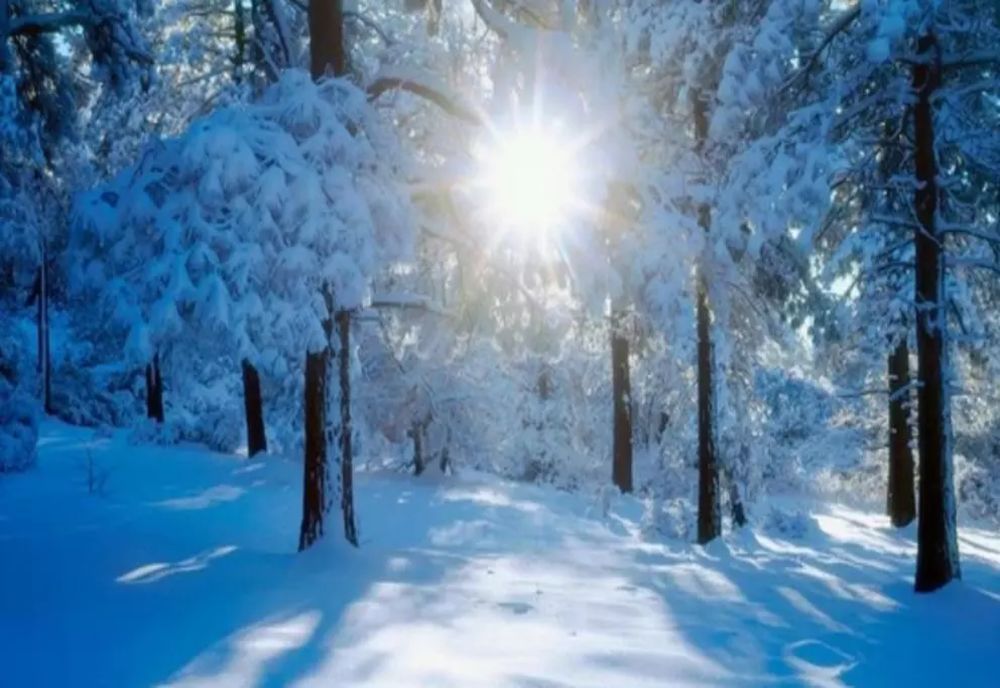 Când cade prima ninsoare în România. Prognoza meteo pentru iarna anului 2023