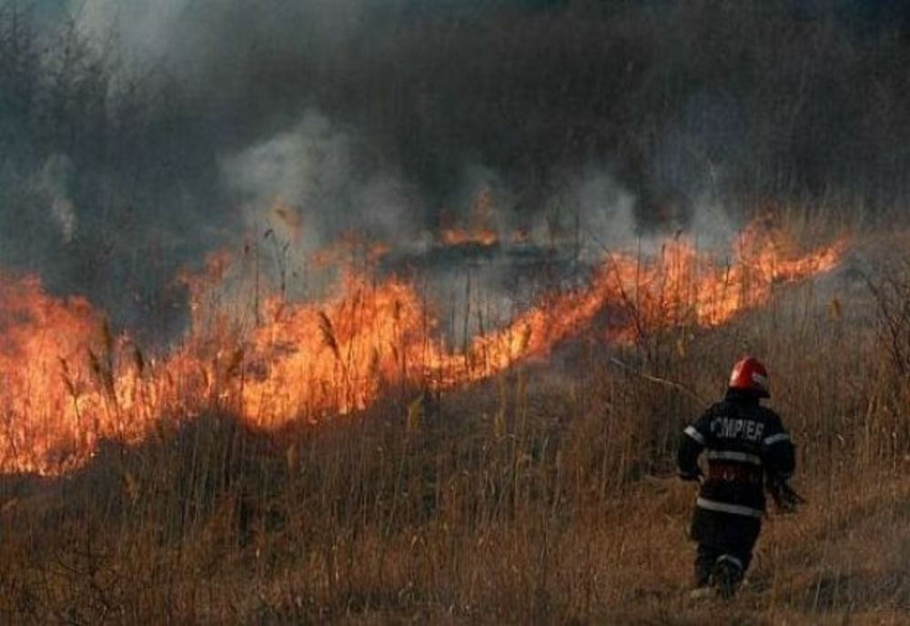 FOCUL DESCHIS, UN PERICOL MAJOR ÎN ZONE CU VEGETAȚIE