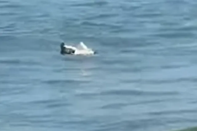 Bucată de dronă găsită în mare, la Mamaia, chiar lângă un club de fițe. SRI a trimis de urgență un echipaj