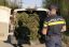 Bărbat prins cu peste jumătate de tonă de cetină de brad transportată ilegal