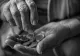 Întreținerea plătită în rate în orașul lui Ilie Bolojan. Pensionarii îndură foamea și boala pentru a-și plăti facturile