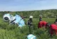 GALERIE FOTO și VIDEO. Elicopter prăbușit la Cluj. O persoană, transportată la spital