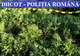 12 traficanți de cannabis reținuți! Au fost efectuate percheziţii în Cluj şi Bistriţa-Năsăud