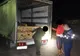 FOTO | Autocamioane şi materiale lemnoase confiscate, în urma unor acţiuni ample ale poliţiştilor