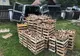 FOTO | 64 de persoane legitimate şi peste 1000 de kilograme de ciuperci confiscate de poliţişti