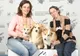 Napoca Dog Show - evenimentul chinologic clujean al anului 2019