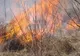 Peste 20 de incendii de vegetație, stinse la Cluj în ultima săptămână