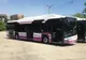 Au fost prinşi hoţii de buzunare care furau de la pasagerii din transportul public. Şoferul care a ajutat la prinderea lor va fi recompensat