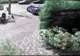 Imagini video şocante: cum a fost omorât pe trecerea de pietoni un tânăr de 33 de ani