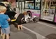 Accident în centrul Clujului! Au fost implicate trei maşini, o motocicletă şi un autobuz (FOTO)