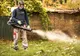 Dezinsecţie la Cluj. Vezi cu ce insecticide