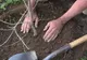 Acțiune de plantare de copaci în zona pădurii Feleacu