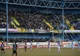  Play-off | Bilete pentru partida Gaz Metan - CFR Cluj 